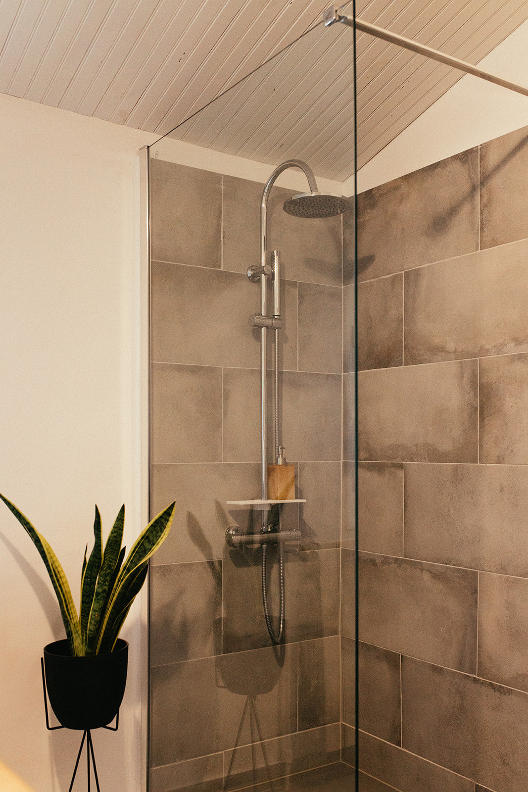 Chambre Aeonium - Plus que 2 places !